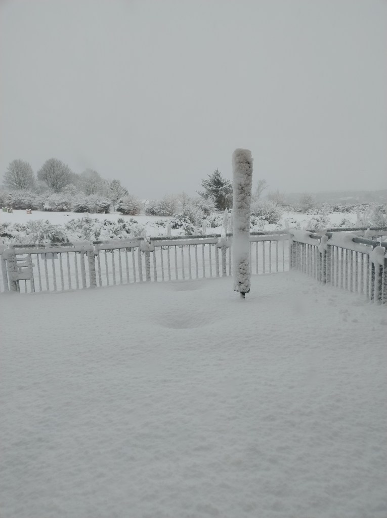 A grey, snowy day with a fence and bushes covered in snow.