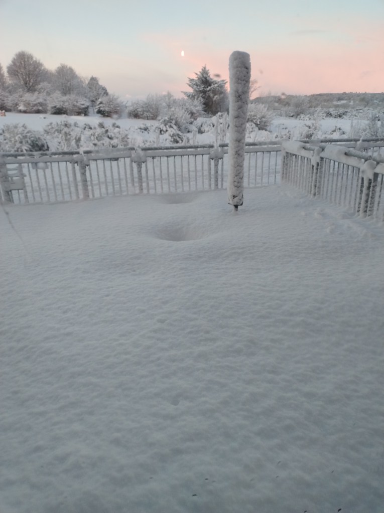 A snow-covered landscape of a garden fence with trees and bushes in the background under a pink sky during sunset.